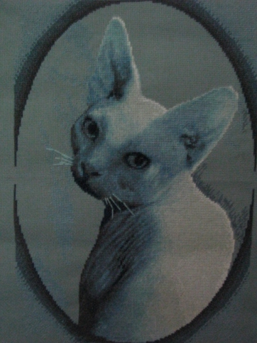 Вышитая картина кошка "Матильда"